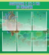 Стенд "Подготовка к ЕГЭ и ОГЭ по биологии" (вариант 1) - «globural.ru» - Воркута