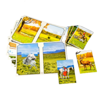 Настольно-печатная игра "Вокруг света" - «globural.ru» - Воркута