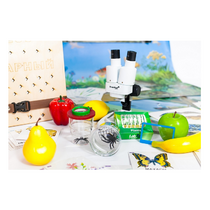 Учебно-методический набор для проектной деятельности в ДОО №1–ЕН (химия, биология, анатомия) - «globural.ru» - Воркута