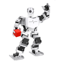 Базовый робототехнический набор  "Техник" для изучения систем управления робототехническими комплексами и андроидными роботами "Сережа ИН Про". Полный комплект на Raspbery Pi - «globural.ru» - Воркута