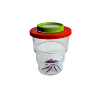 Коробка для изучения насекомых с лупой (вариант 2) - «globural.ru» - Воркута