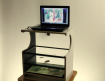 Мультстанок для перекладной анимации  - «globural.ru» - Воркута