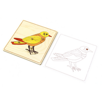 Строение птицы с контуром. - «globural.ru» - Воркута