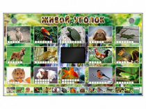 Комплект оборудования "Живой уголок" (животные) - «globural.ru» - Воркута