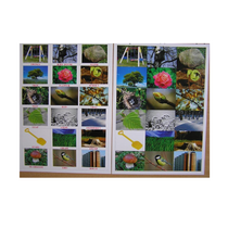 Английское лото "На прогулке" - «globural.ru» - Воркута