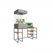 Цифровая био система по выращиванию растений для ДОУ. Премиум - «globural.ru» - Воркута