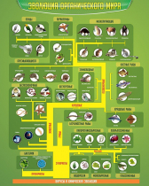 Стенд "Эволюция органического мира" - «globural.ru» - Воркута
