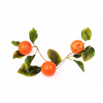 Муляж "Ветка мандарин" - «globural.ru» - Воркута