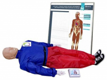 5.1 Тренажер-манекен взрослого пострадавшего "Александр-01" для отработки приемов сердечно-легочной реанимации (голова, туловище, конечности) с контроллером и настенным табло - «globural.ru» - Воркута