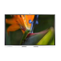 Интерактивная панель Geckotouch Interactive 98SL - «globural.ru» - Воркута