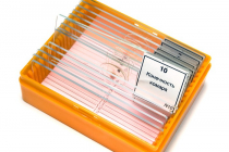 Набор микропрепаратов N10 - «globural.ru» - Воркута