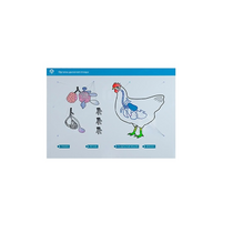 Стенд-планшет светодинамический "Изучение органов дыхания сельскохозяйственных животных" со сменными панелями - «globural.ru» - Воркута