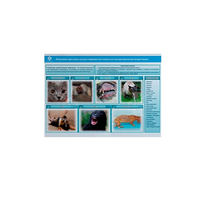 Стенд-планшет светодинамический «Острые отравления животных лекарственными препаратами» - «globural.ru» - Воркута