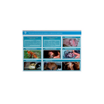 Стенд-планшет светодинамический "Изучение типических патологических процессов в организмах животных" - «globural.ru» - Воркута