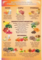 Стенд "Витамины, жиры, углеводы" - «globural.ru» - Воркута