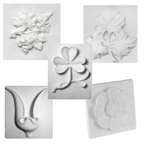 Комплект гипсовых моделей растений  - «globural.ru» - Воркута