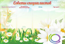 Стенд "Советы специалистов" - «globural.ru» - Воркута