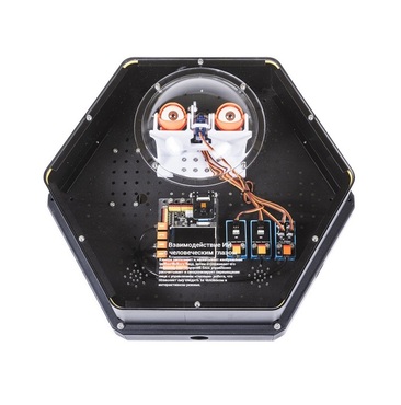 Модуль интерактивный с искусственным интеллектом "Наблюдатель" - «globural.ru» - Воркута