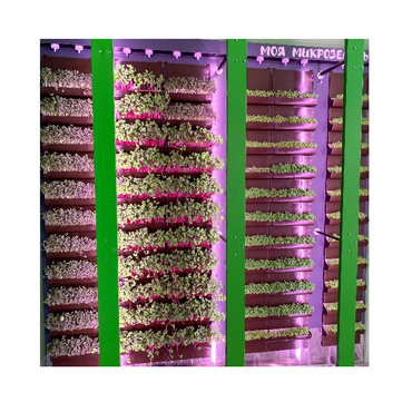 Вертикальная ферма "Моя Микрозелень" комплектация Школьная - «globural.ru» - Воркута