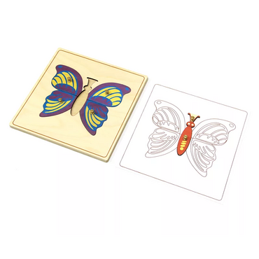 Строение бабочки с контуром. - «globural.ru» - Воркута