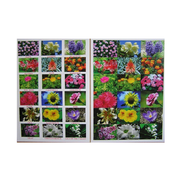 Английское лото "Цветы - травы" - «globural.ru» - Воркута