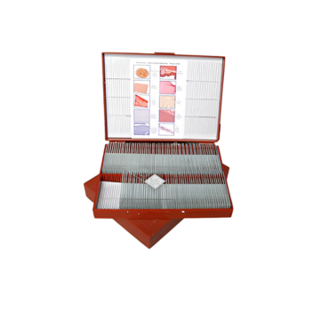 Комплект микропрепаратов "Анатомия" - «globural.ru» - Воркута