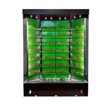 Вертикальная ферма "Моя Микрозелень" комплектация "Театро настольная" - «globural.ru» - Воркута