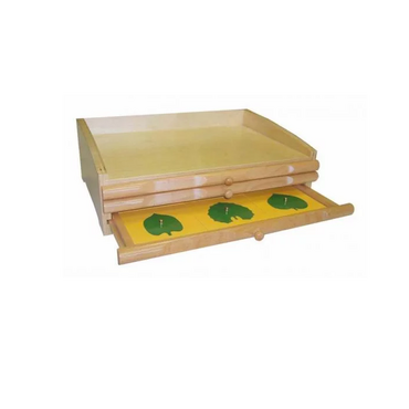 Ботанический комод. - «globural.ru» - Воркута