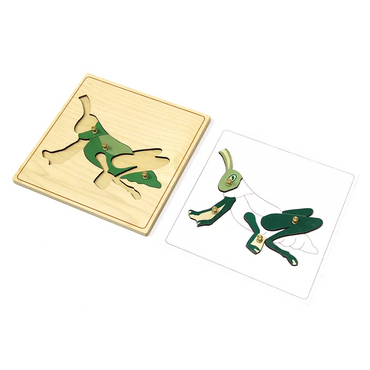 Строение кузнечика с контуром - «globural.ru» - Воркута