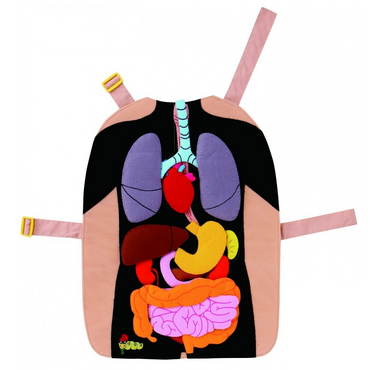Фланелеграф-фартук "Анатомия" - «globural.ru» - Воркута