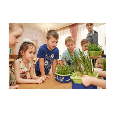 Обучающий комплект экологической направленности "Сити-фермер 2.0 Детский сад" 20 человек - «globural.ru» - Воркута