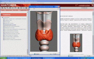 Анатомия онлайн. Школьный атлас - «globural.ru» - Воркута