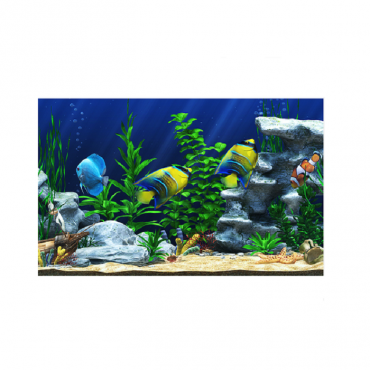 Интерактивный аттракционный комплекс "Водный мир" - «globural.ru» - Воркута