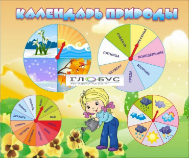 Стенд "Календарь природы" (вариант 1) - «globural.ru» - Воркута