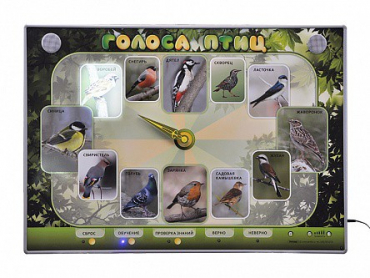 Электрифицированный стенд-часы "Голоса птиц" с комплектом дидактического материала - «globural.ru» - Воркута