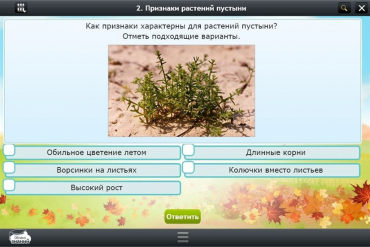Интерактивные курсы. Окружающий мир 3 класс. Базовый - «globural.ru» - Воркута