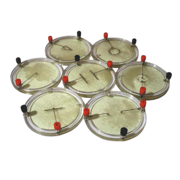 Демонстрационный комплект «Силовые линии электрического поля разных систем зарядов» - «globural.ru» - Воркута