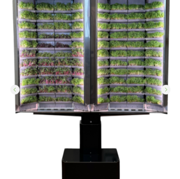 Вертикальная  ферма «Моя микрозелень» комплектация  «Театро настенная» - «globural.ru» - Воркута