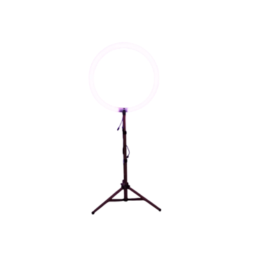 Световое кольцо LS Ring - «globural.ru» - Воркута