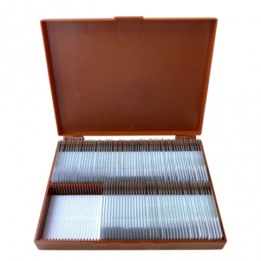 Комплект микропрепаратов по анатомии, ботанике, зоологии, общей биологии - «globural.ru» - Воркута