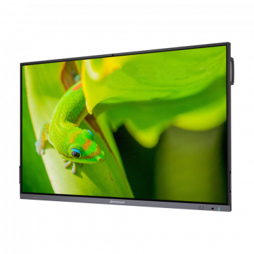 Интерактивный программно-аппаратный комплекс Geckotouch Interactive IP75GT-C в комплекте с настенным креплением - «globural.ru» - Воркута