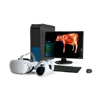 Интерактивный учебный комплекс «Анатомия Коровы» - «globural.ru» - Воркута