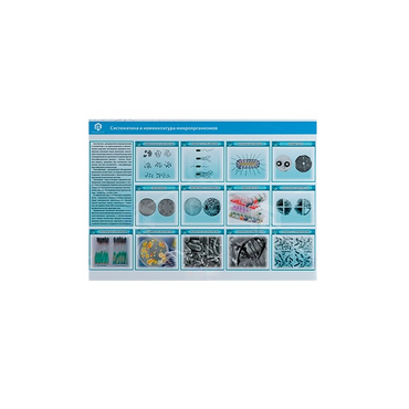 Стенд-планшет светодинамический «Изучение систематики и номенклатуры микроорганизмов» - «globural.ru» - Воркута