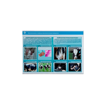 Стенд-планшет светодинамический «Изучение асептических и гнойных воспалительных процессов» - «globural.ru» - Воркута