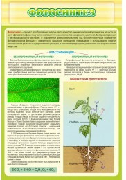 Стенд "Фотосинтез" - «globural.ru» - Воркута
