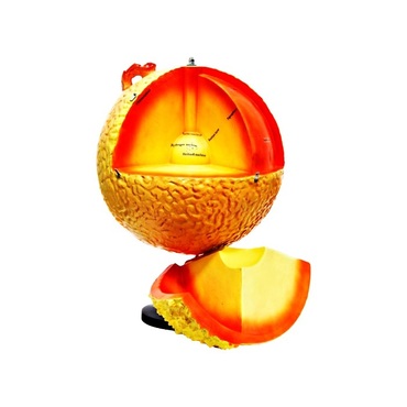 Модель "Строение Солнца" (разборная) - «globural.ru» - Воркута