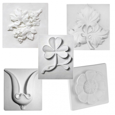 Комплект гипсовых моделей растений  - «globural.ru» - Воркута